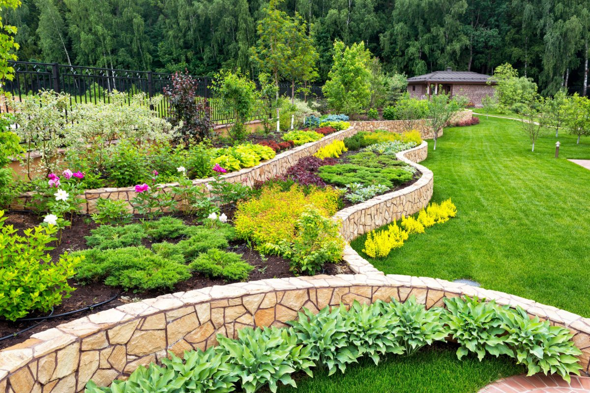 Landscape design