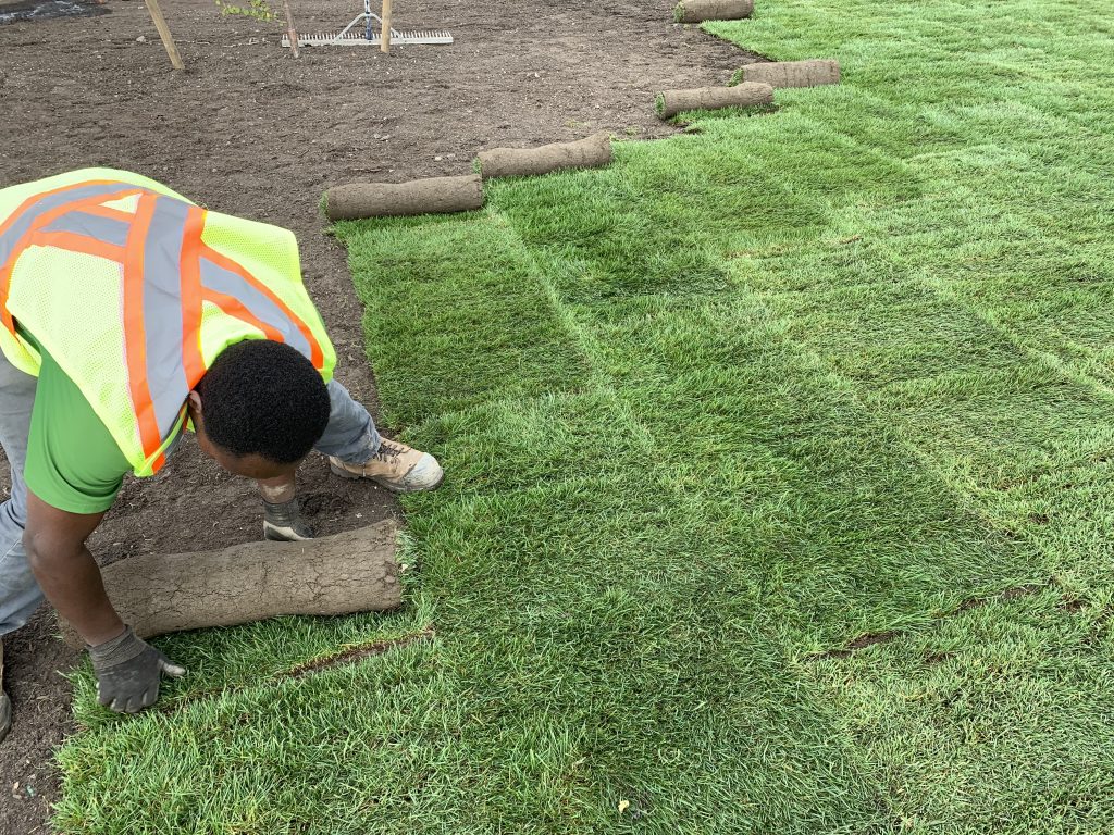 Lawn installation